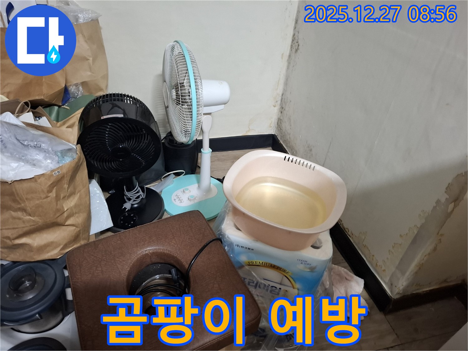 송파구 삼전동 누수 현장 - 곰팡이, 어떻게 예방해야 할까요? - 환기, 제습, 청결이 곰팡이 예방의 핵심입니다.