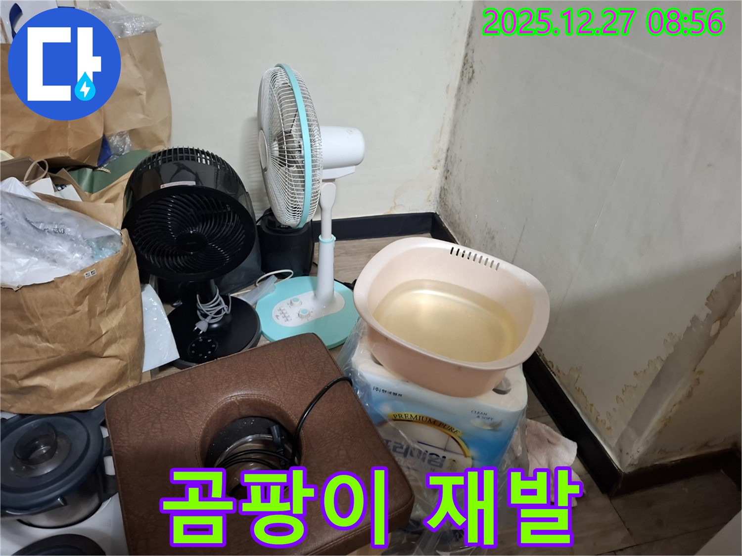 송파구 삼전동 누수 현장 - 곰팡이, 제거 후에도 다시 생길 수 있나요? - 재발 방지를 위한 꼼꼼한 시공과 관리가 중요합니다.