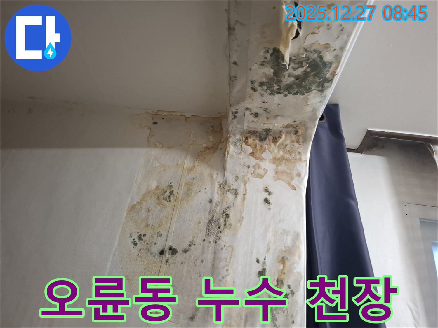 오륜동 누수 현장 - 천장 곰팡이 긴급 제거, 누수탐지 전문가의 신속한 해결