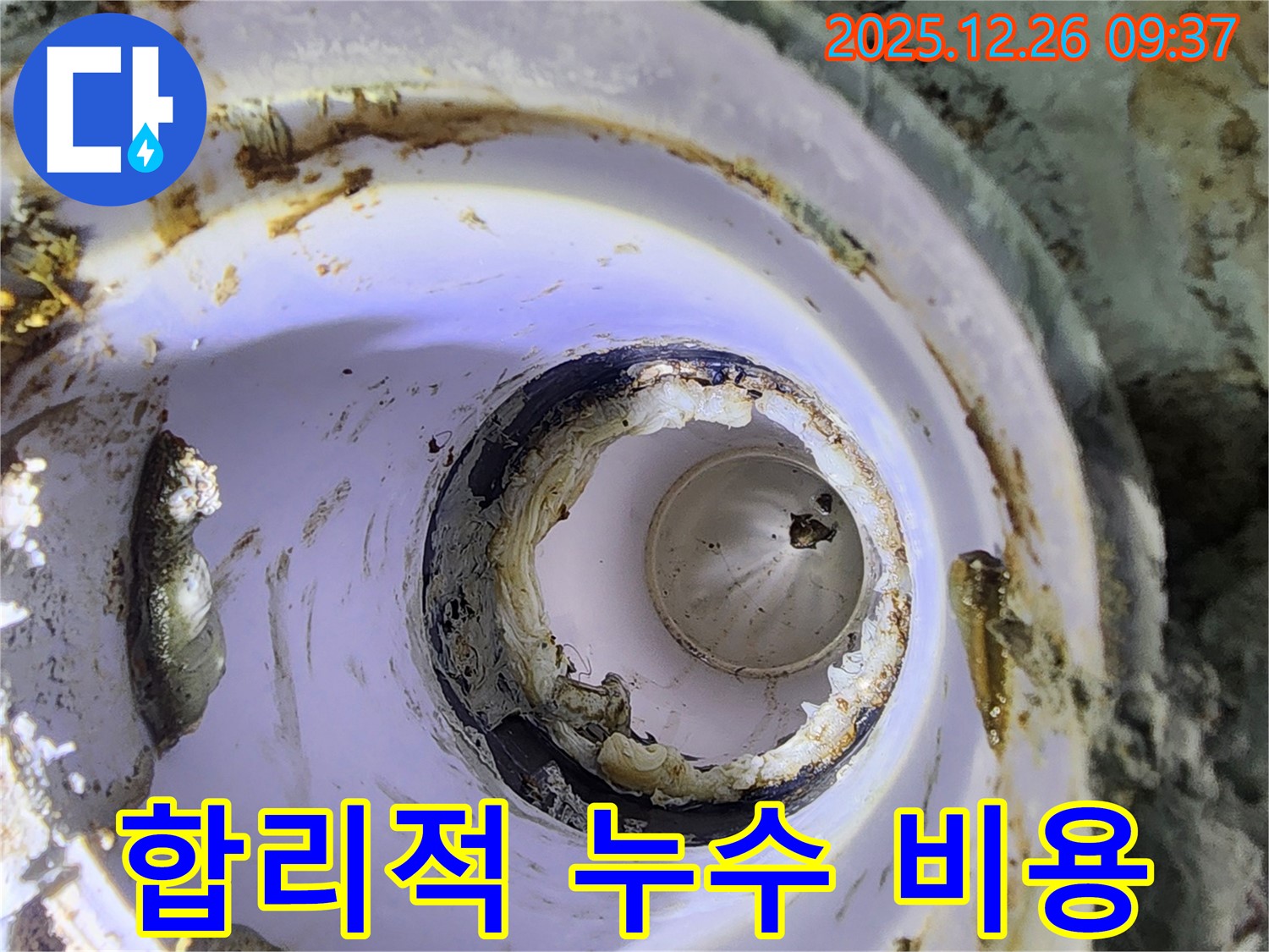 노원구 상계동 합리적인 누수 비용 - 투명한 견적과 확실한 시공
