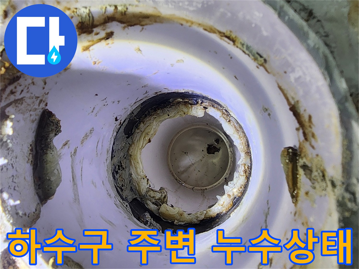 욕실-하수구-유가-주변의-방수층-균열과-오염된-상태를-보여주는-사진