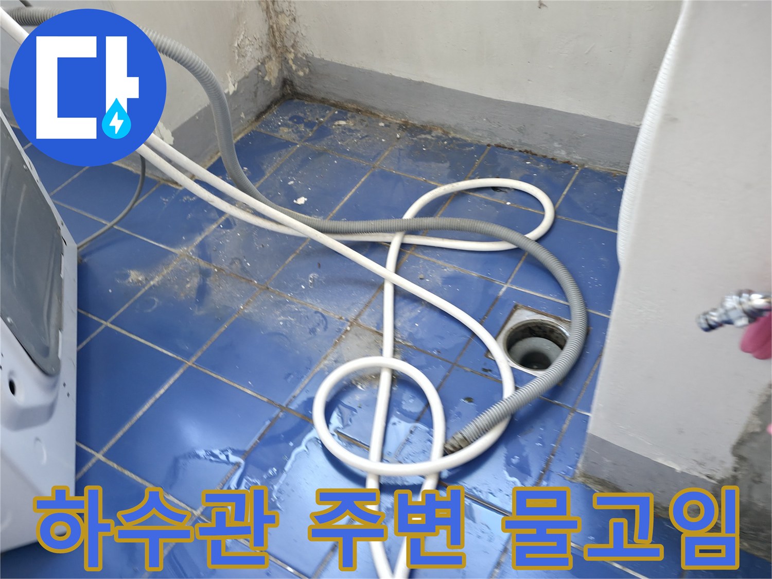 세탁기 배수 호스 인근 하수구 유가 주변의 침수 상태