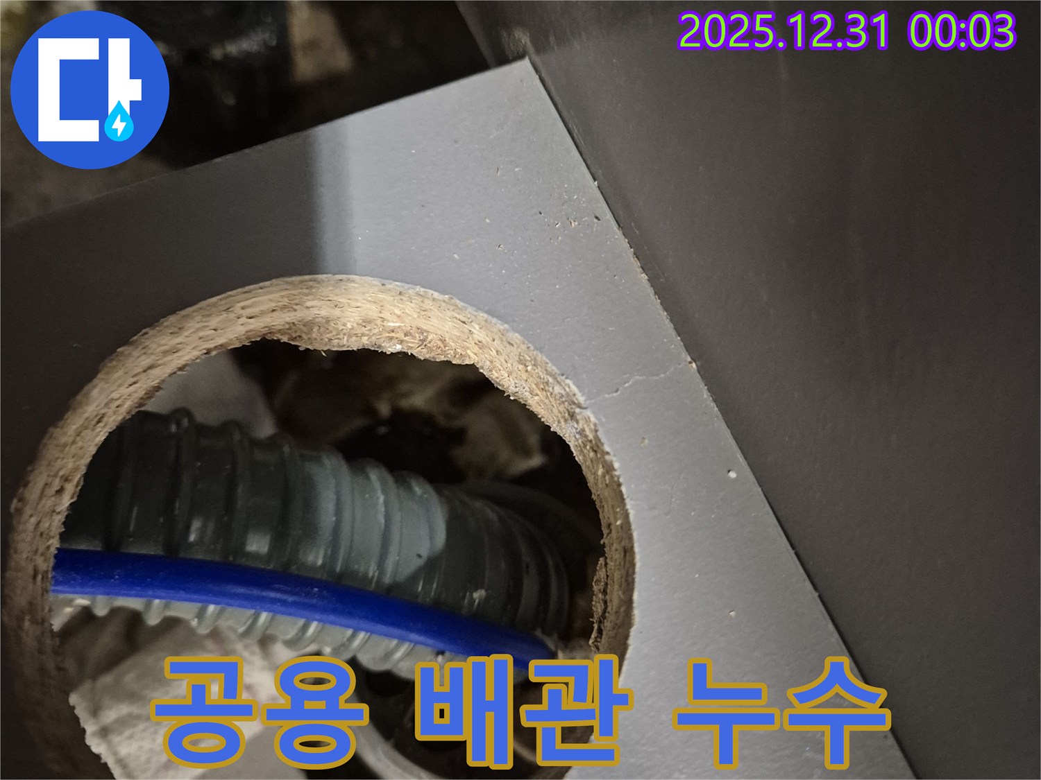 관악구 봉천동 우성아파트 공용 배관 누수 - 신속한 탐지 및 보수로 누수 피해 최소화