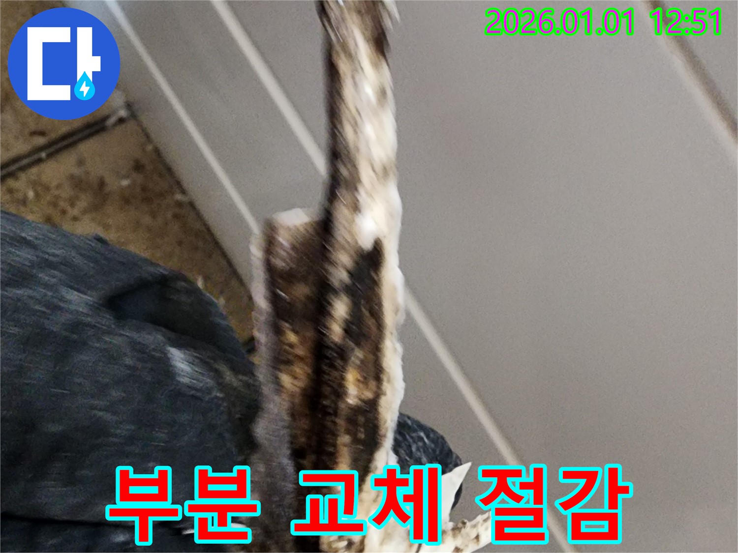고양시 누수공사 현장 - 전체 배관 교체 대신 부분 배관 교체를 통해 비용을 절감하는 과정