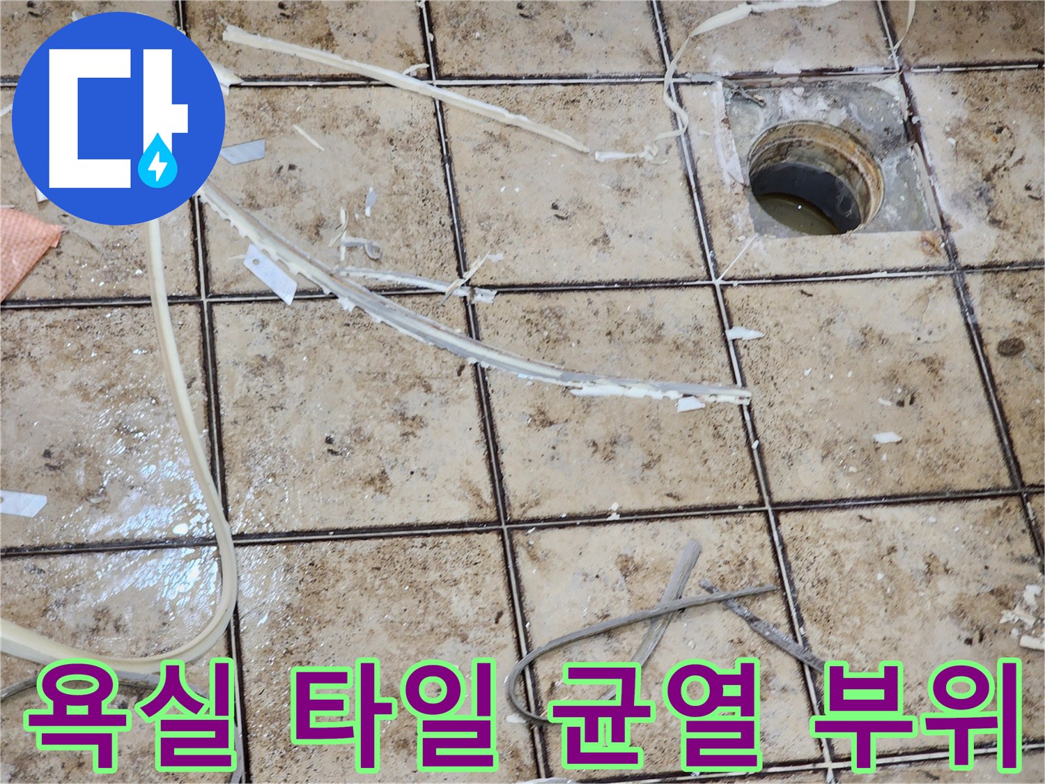 배수관 주변-타일 틈새 누수 지점 정밀 진단