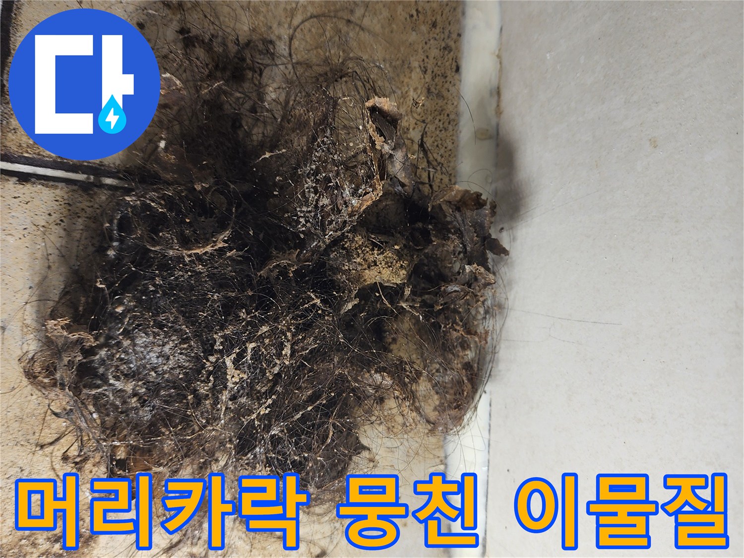 배수관 주변에 엉겨 붙은 머리카락과 오염된 퇴적물 덩어리