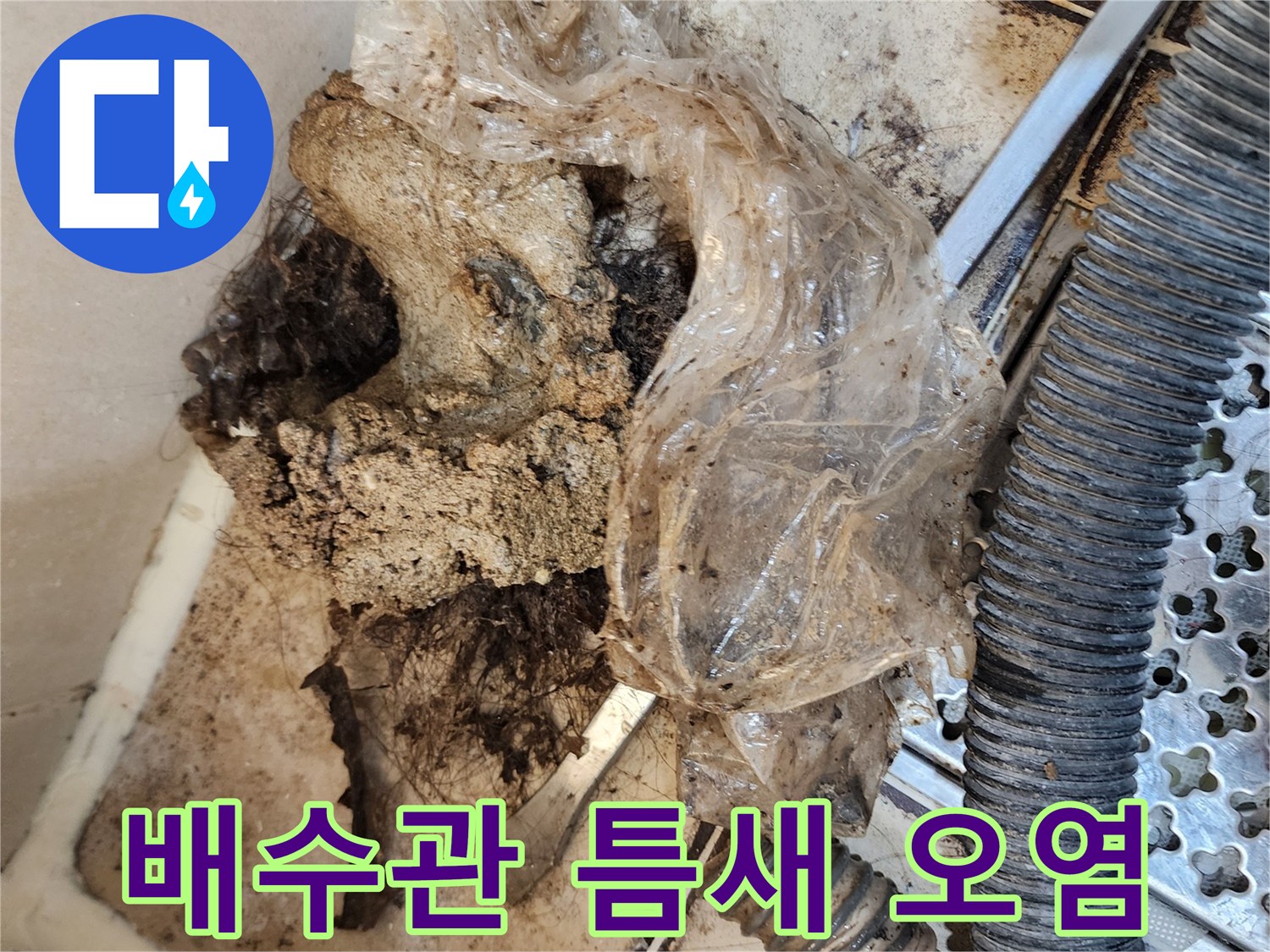 배수관-주변의-머리카락과-오염물질-뭉침현상