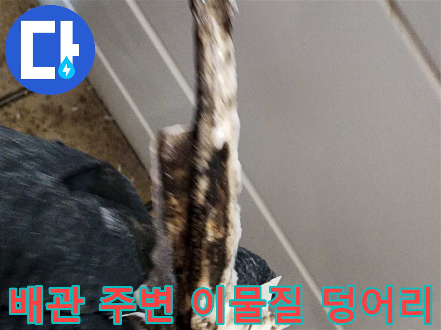 하수구-유가-틈새에-뭉쳐있는-이물질과-오염물