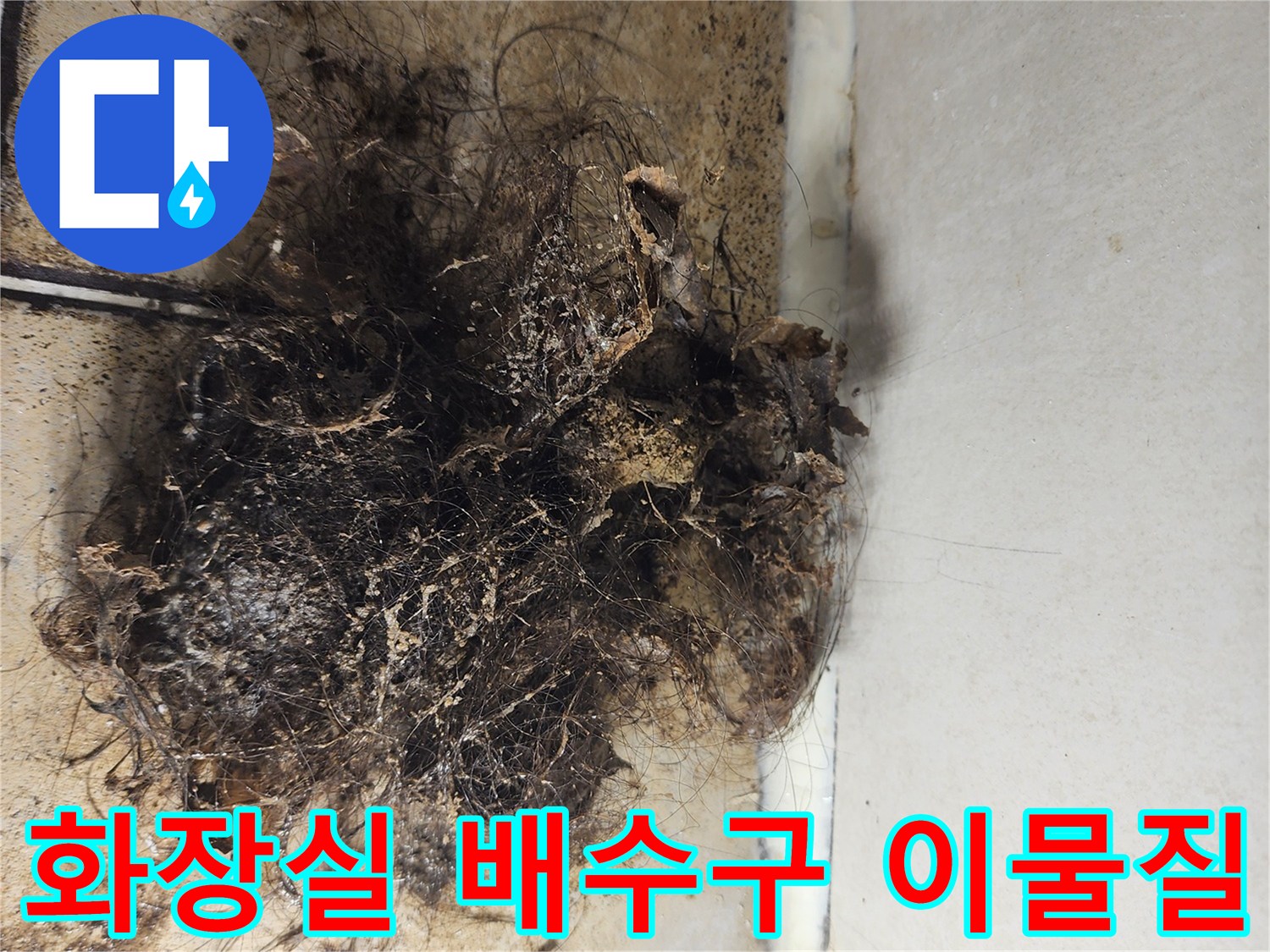 화장실-배수구-주변에-뭉쳐있는-머리카락과-오염물-덩어리