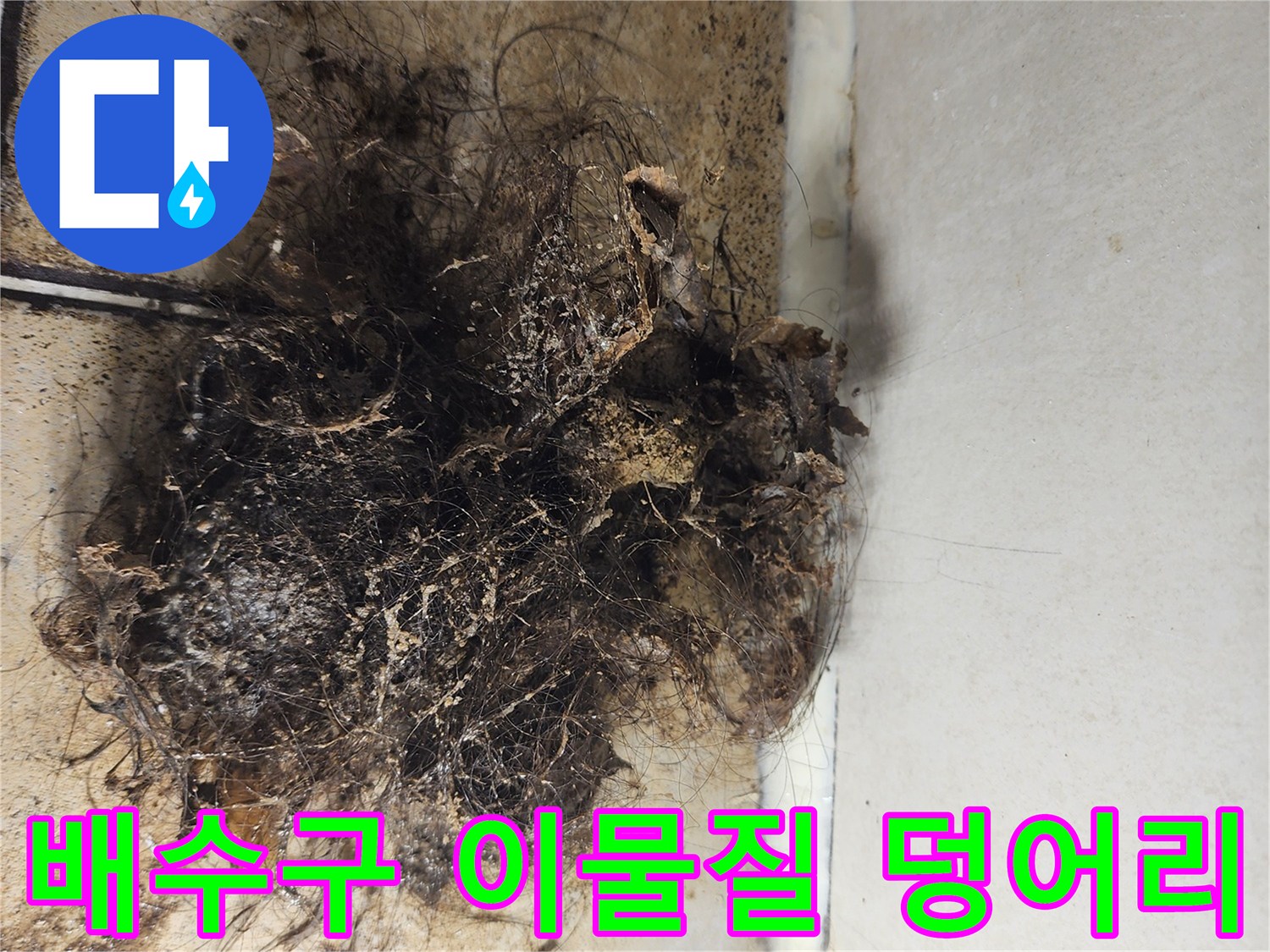 화장실-배수구-주변에-엉킨-머리카락과-오염물질
