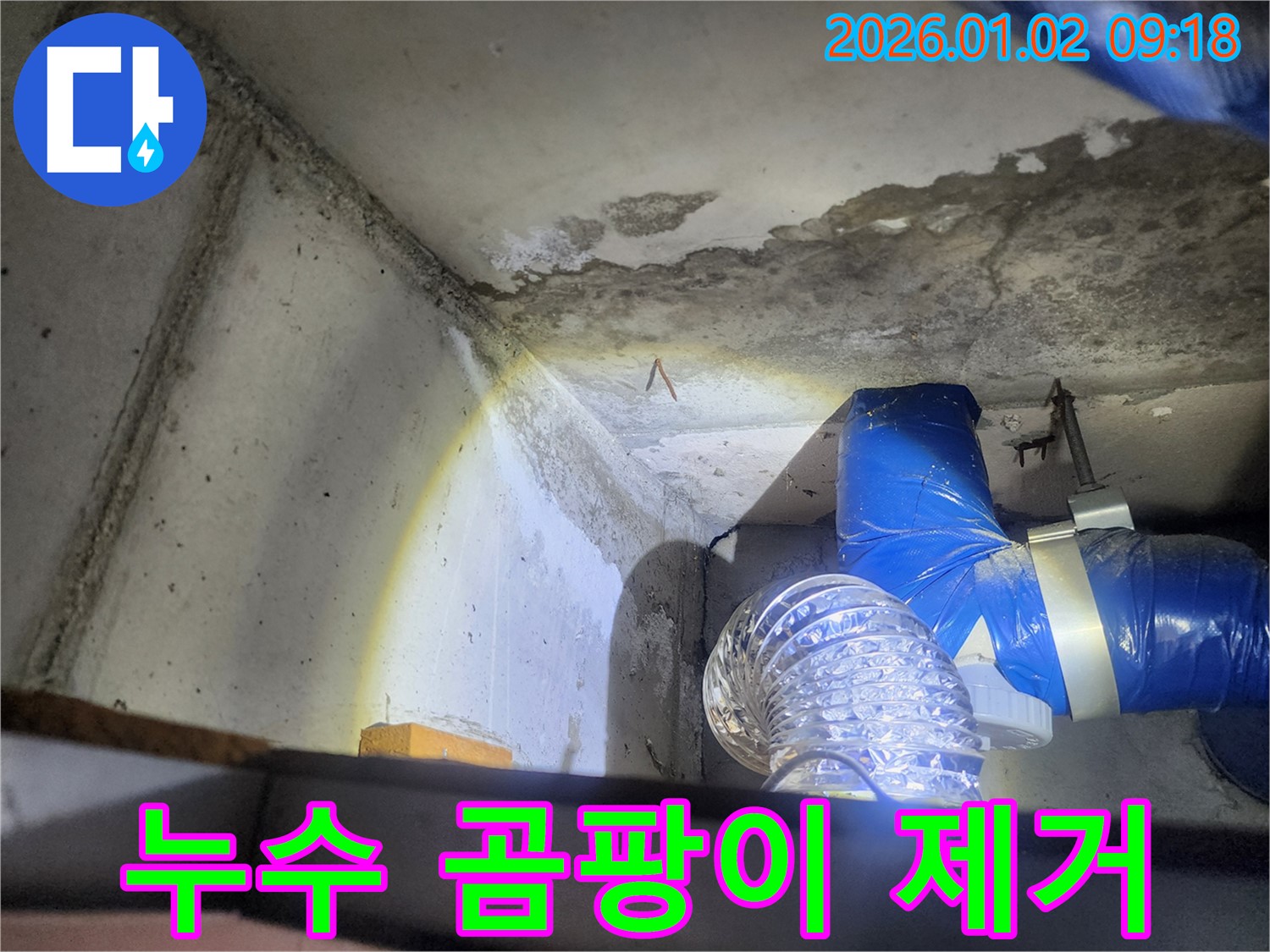 상계9동 누수 곰팡이 제거 - 곰팡이 제거 작업