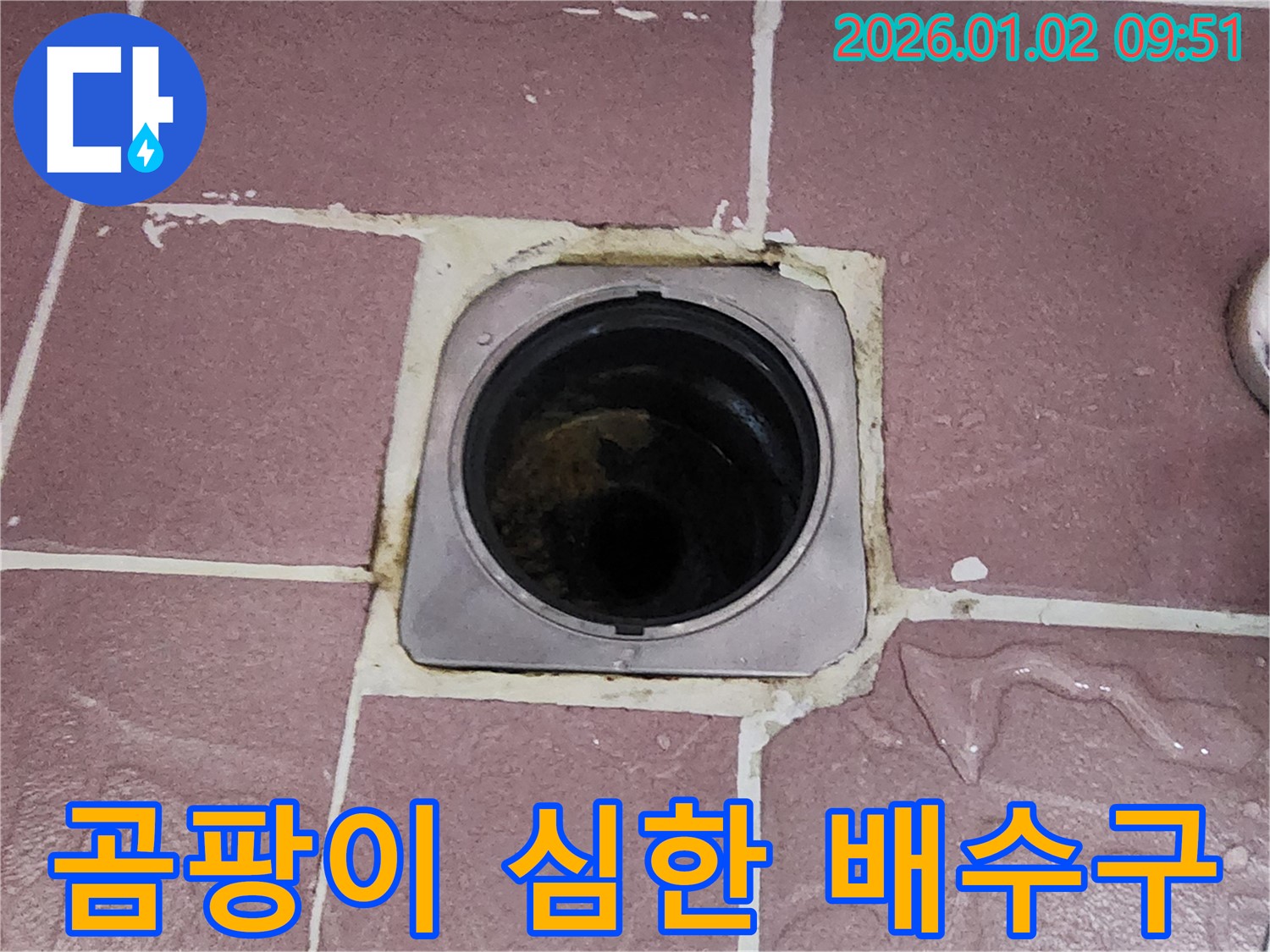 상계9동 욕실 배수구 주변 곰팡이 - 곰팡이가 심하게 핀 배수구는 누수의 심각성을 알리는 신호입니다.