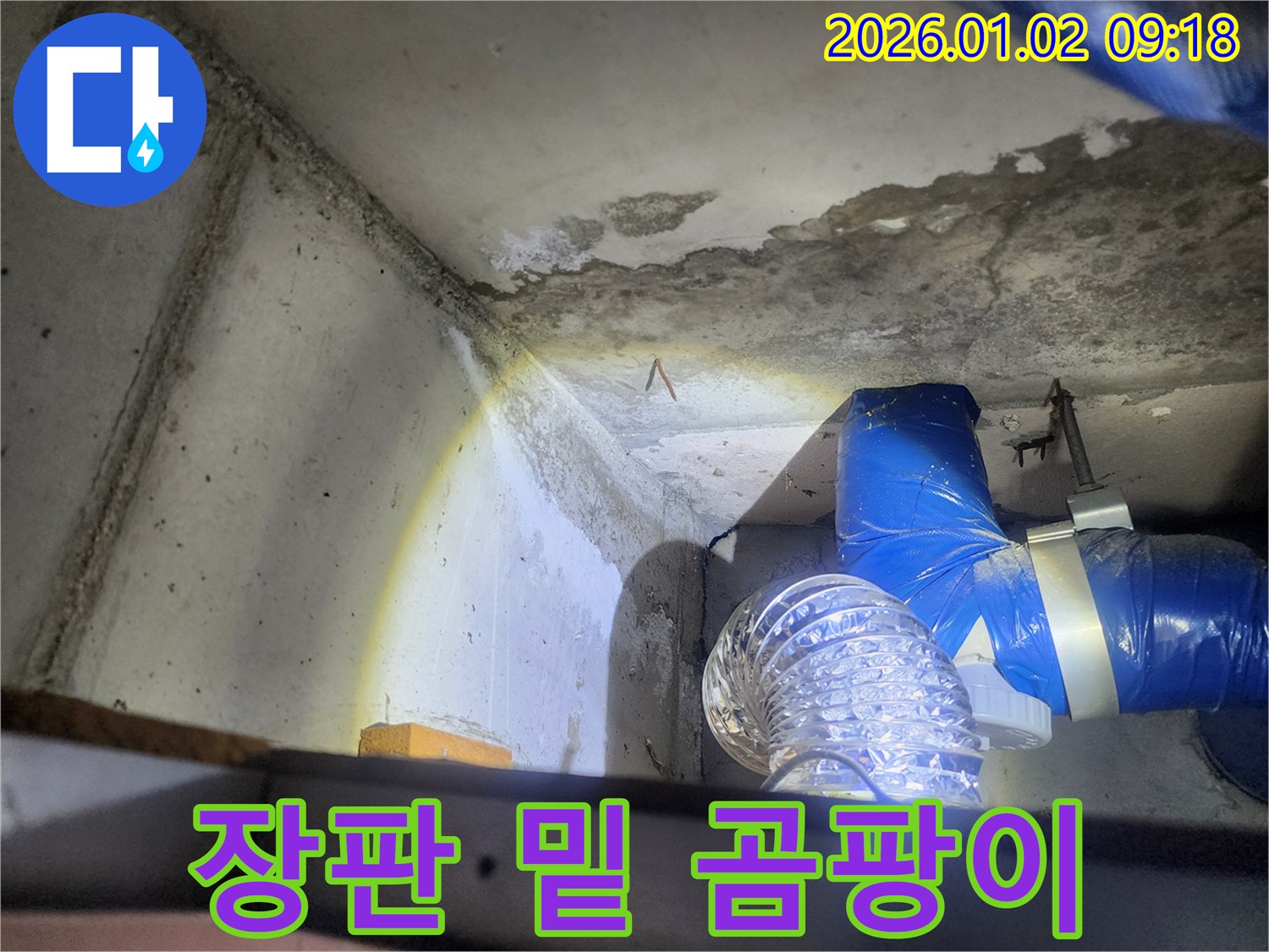 상계9동 장판 밑 곰팡이 - 습기 문제 해결