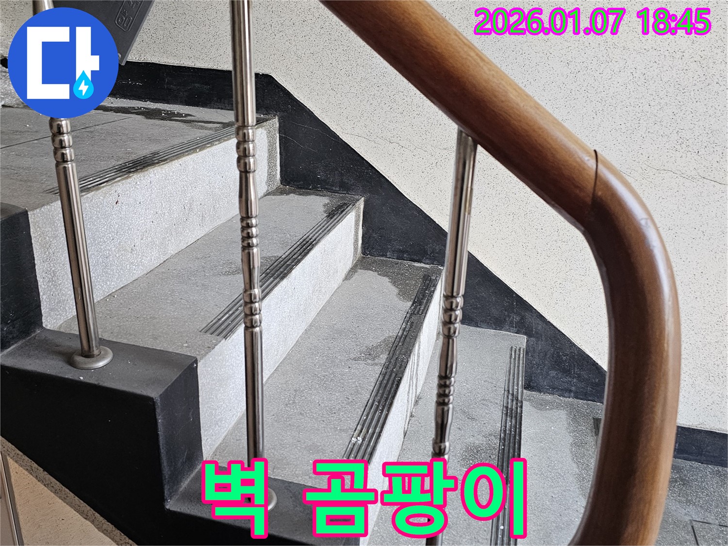 동두천 누수 - 중앙동 계단실 벽 곰팡이 누수 - 알레르기 및 호흡기 질환 유발, 건강 위협