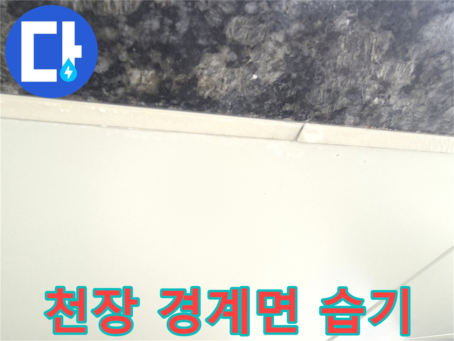 천장-마감재-경계-부분의-습윤-상태