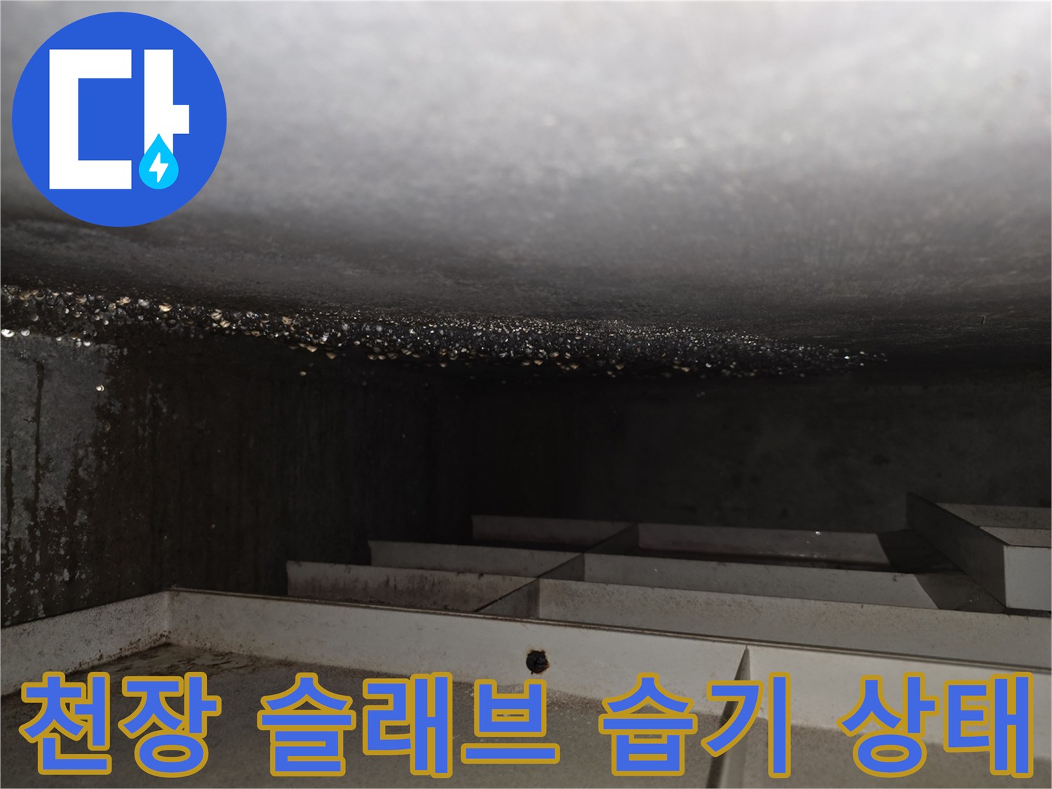 안산-상록구-아파트-주방-천장-슬래브-습기-현황