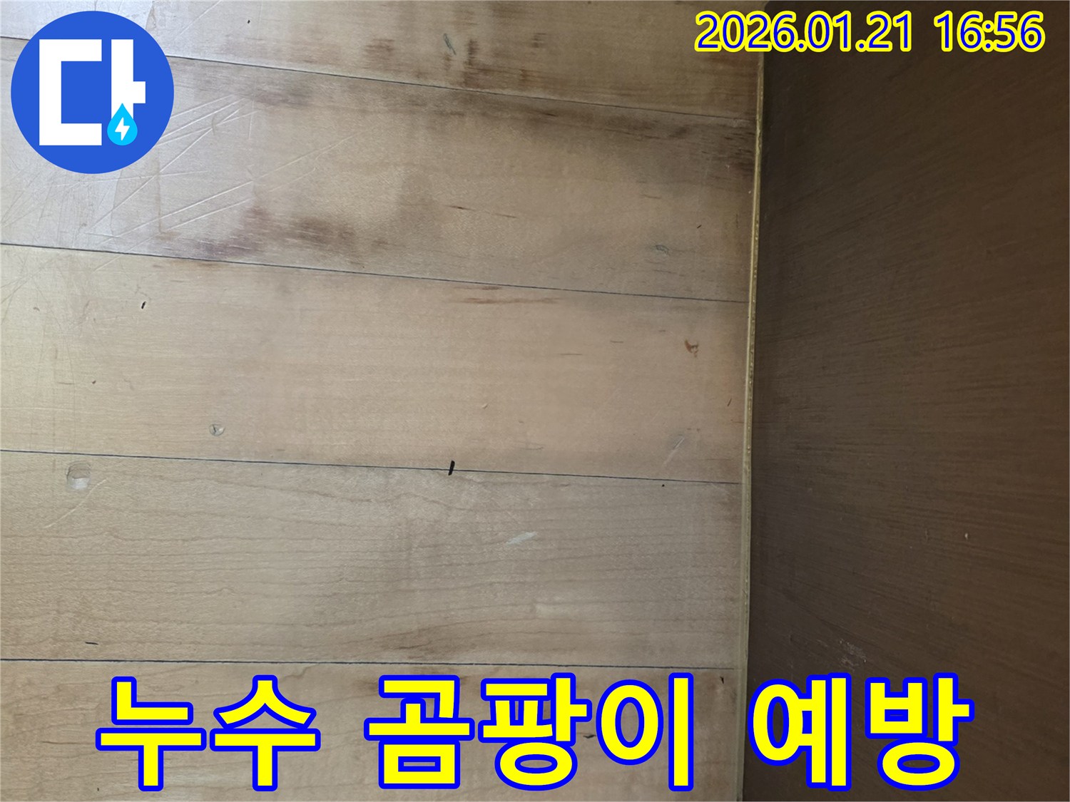 파주시 가람동 주택-누수로 인한 목재 변색이 곰팡이로 이어지기 전 신속한 조치가 필요한 이미지