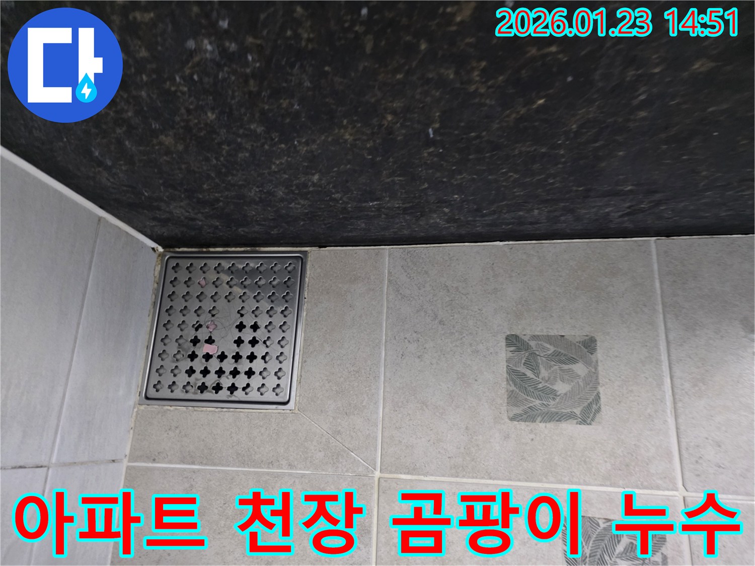 파주시 가람동 아파트 욕실 천장에 발생한 곰팡이 누수 현장 사진 - 윗집 누수를 원인으로 진단하고 해결하는 과정을 보여줍니다.