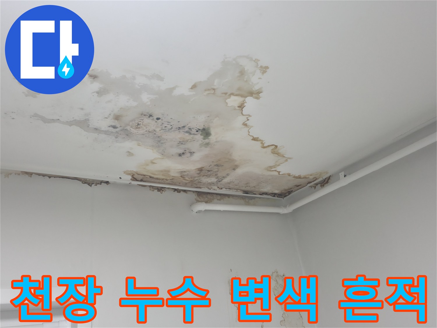 노원구 중계동 아파트-천장 도배지 변색 및 곰팡이 발생 상태
