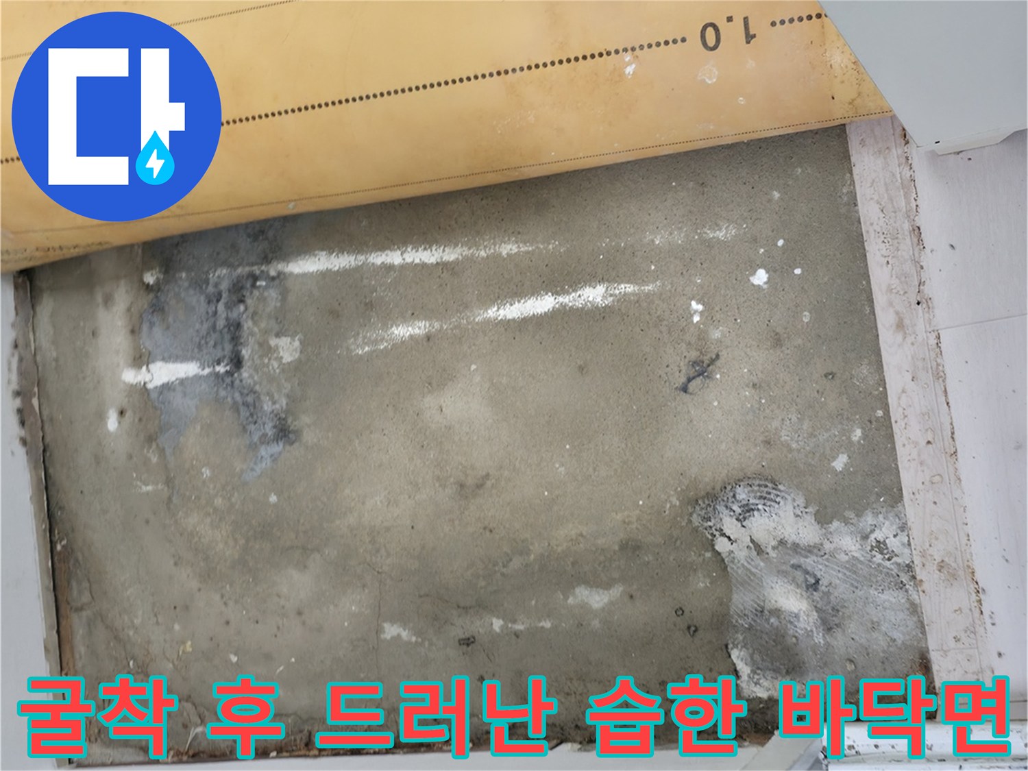 중계동 누수 현장-배관 주변의 젖어 있는 흙과 콘크리트 상태