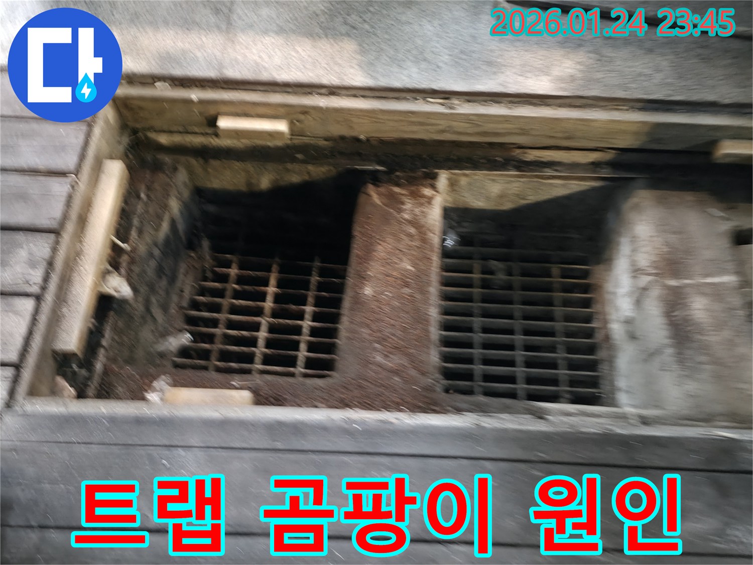 하수구 트랩 주변 곰팡이 발생 원인 분석 사진 - 누수와 습기가 곰팡이의 주된 원인입니다.