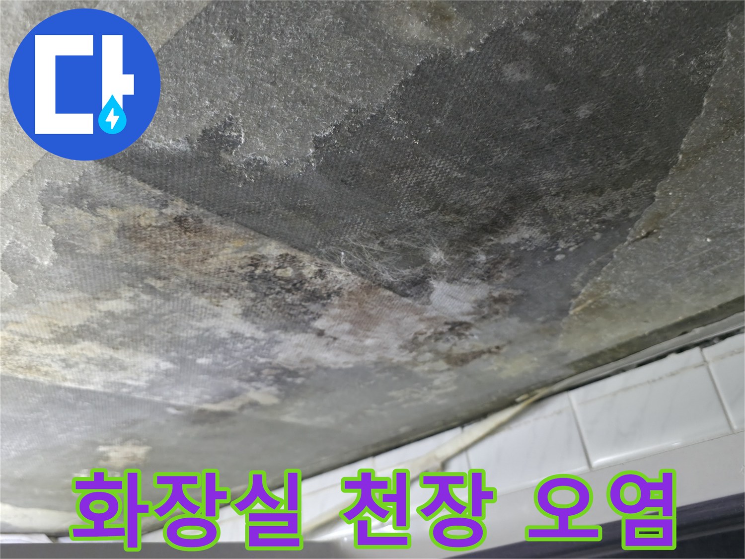 부천 화장실 천장 슬래브의 검은 곰팡이와 습기 오염 상태