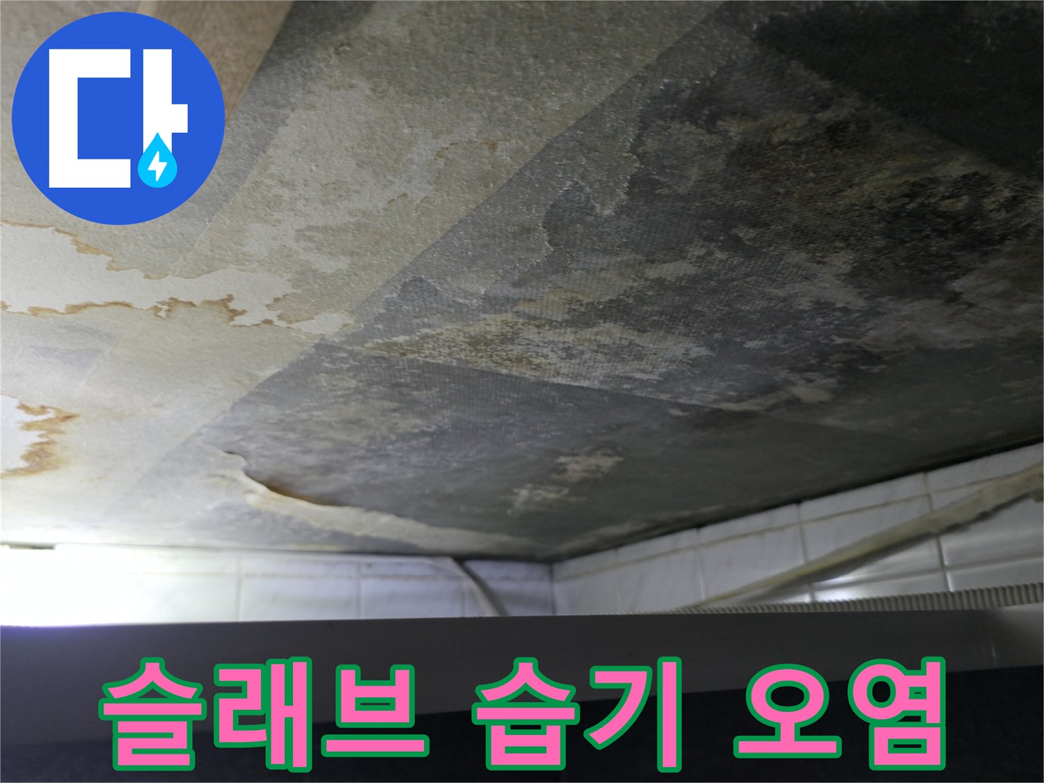 젖어있는-콘크리트-천장과-심한-물얼룩-상태