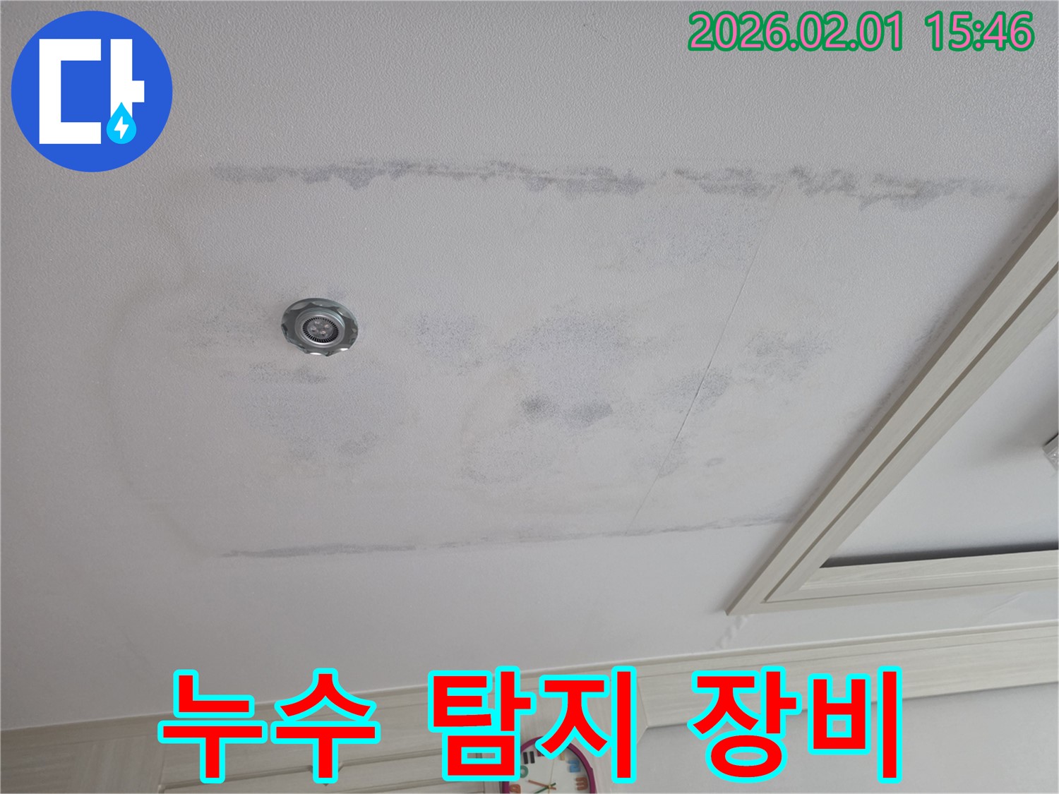 신정동 아파트 - 천장 누수, 전문 누수 탐지 장비 사용
