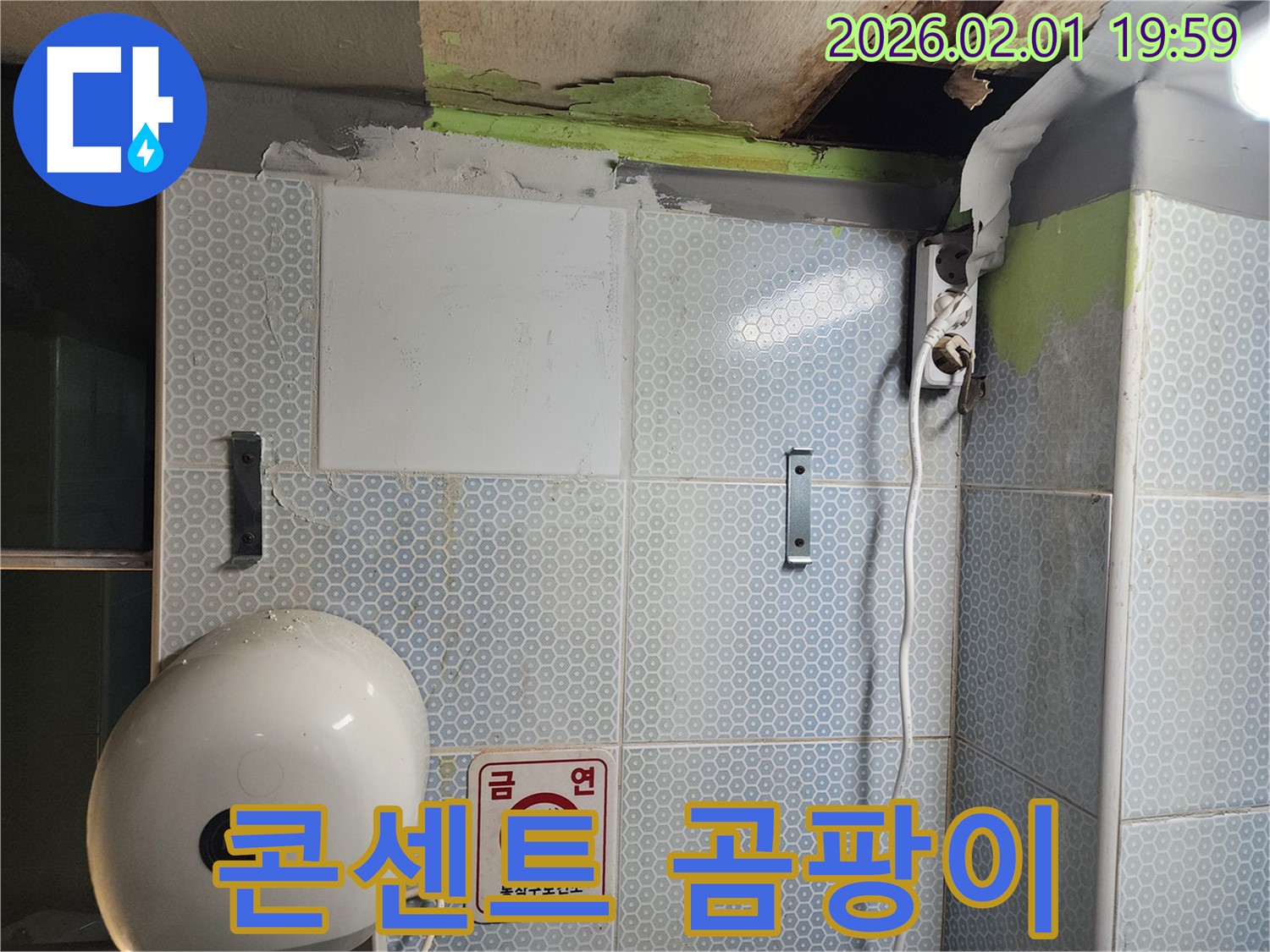 콘센트 주변 곰팡이 - 누수로 인한 감전 위험 증가