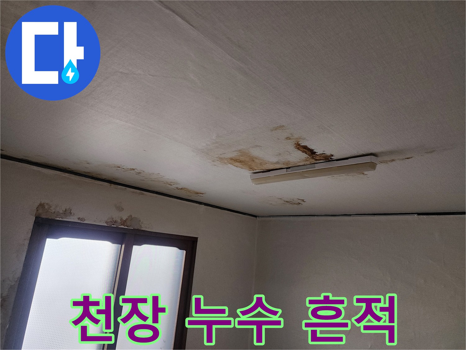 거실 천장 면에 넓게 퍼진 누수 침투 흔적과 얼룩