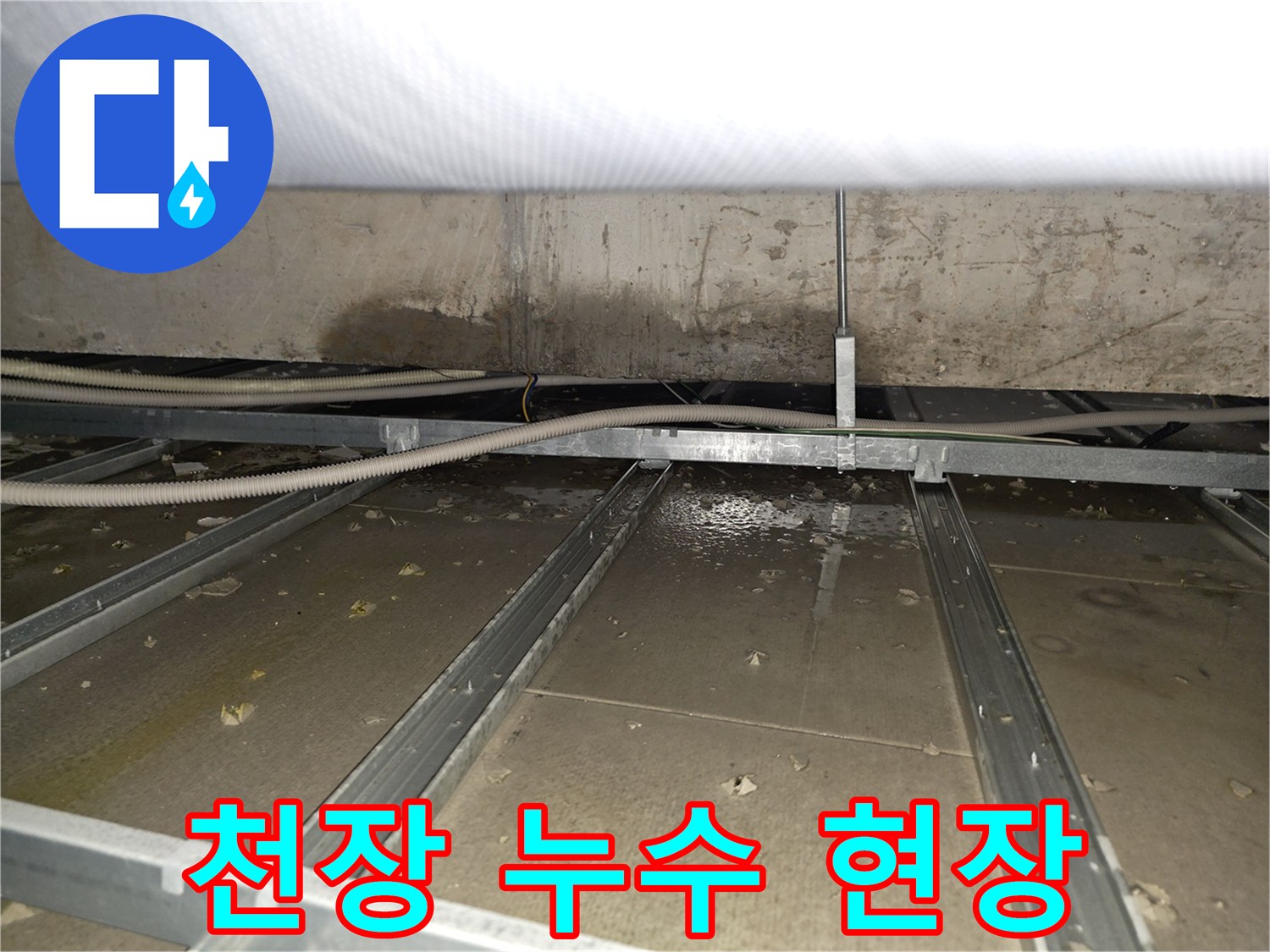 양천구 목동에서 발생한 천장 누수 현장 - 누수탐지 전문가의 꼼꼼한 점검과 정확한 진단