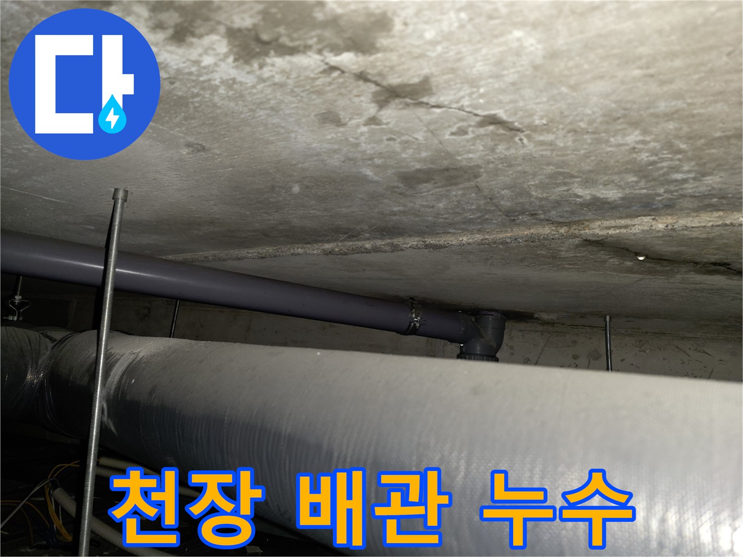 양천구 신정동 천장 배관 누수 현장 - 긴급 상황에도 신속하게 방문하여 누수 원인을 진단하고 해결합니다.