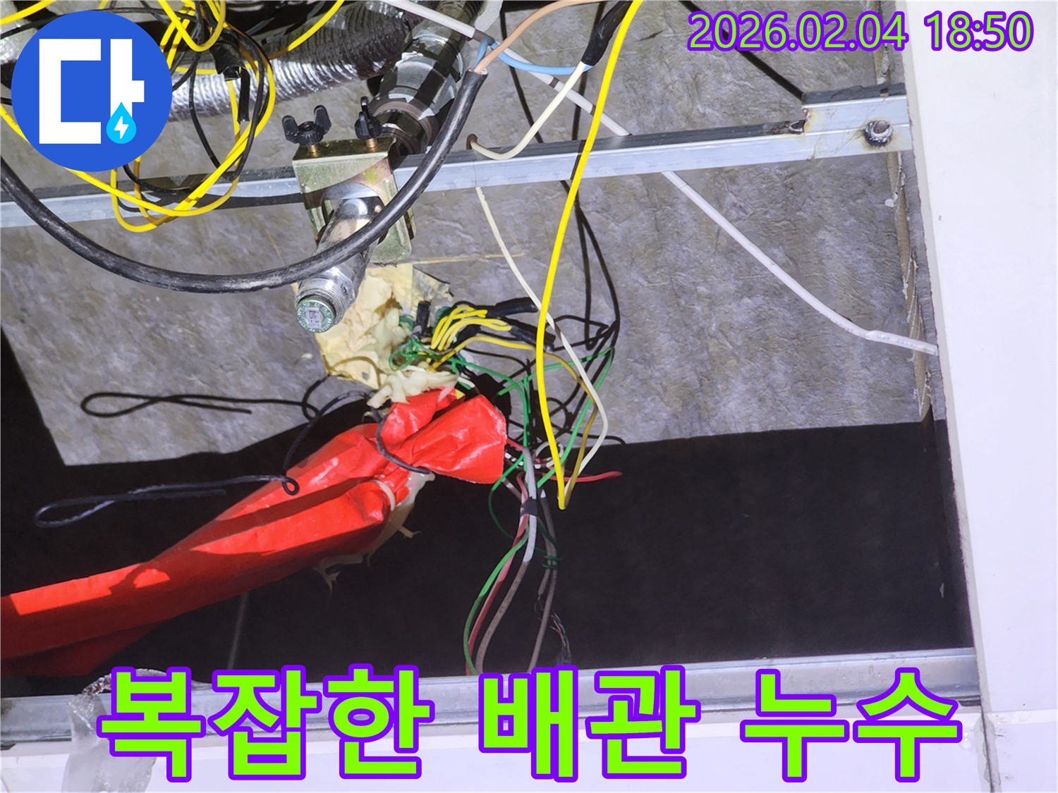 복잡하게 얽힌 배관에서 누수 발생 - 전문 장비로 정확히 찾아냅니다.