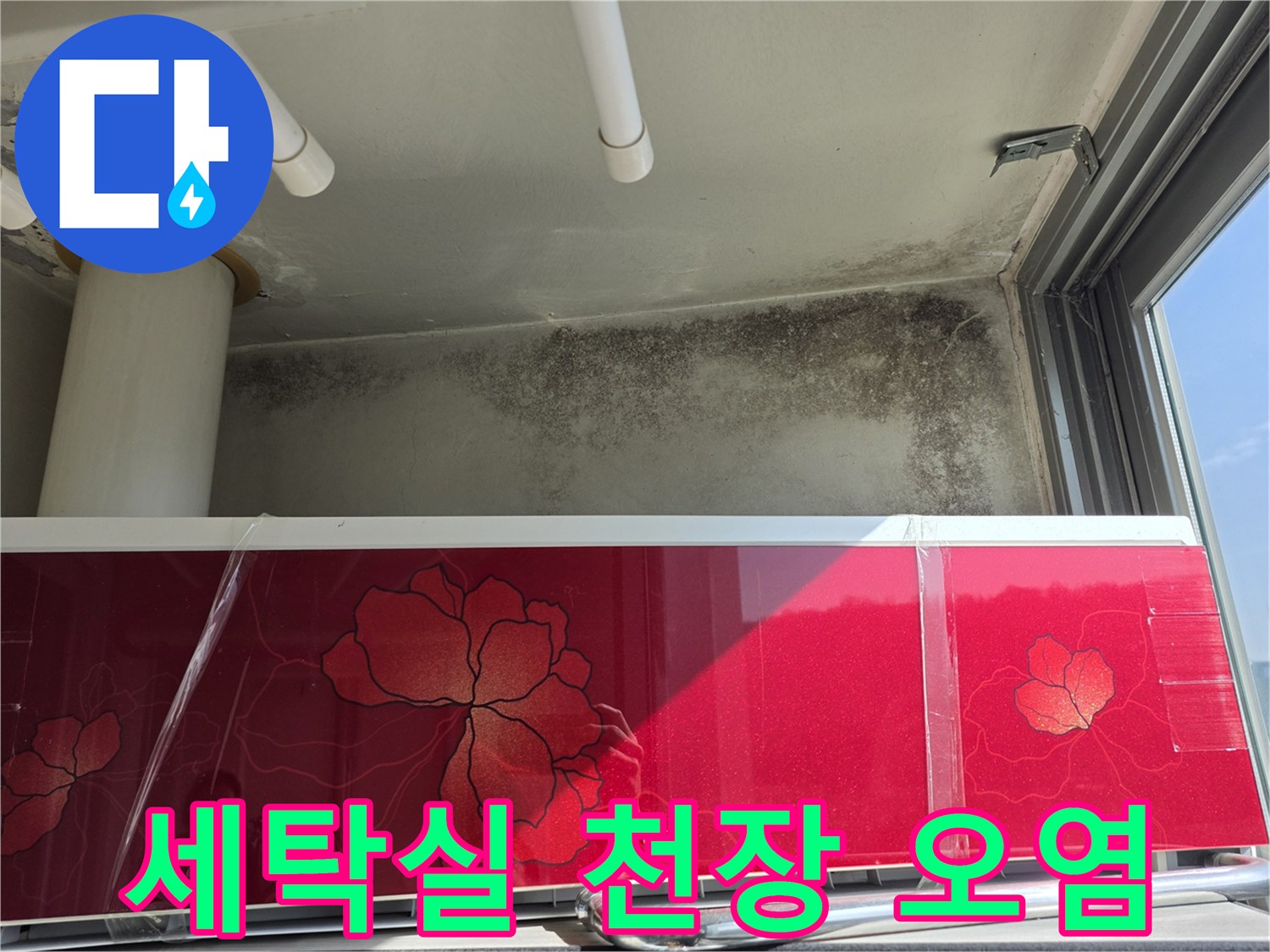 누수로 인한-천장과 벽면의 곰팡이 및 변색 부위