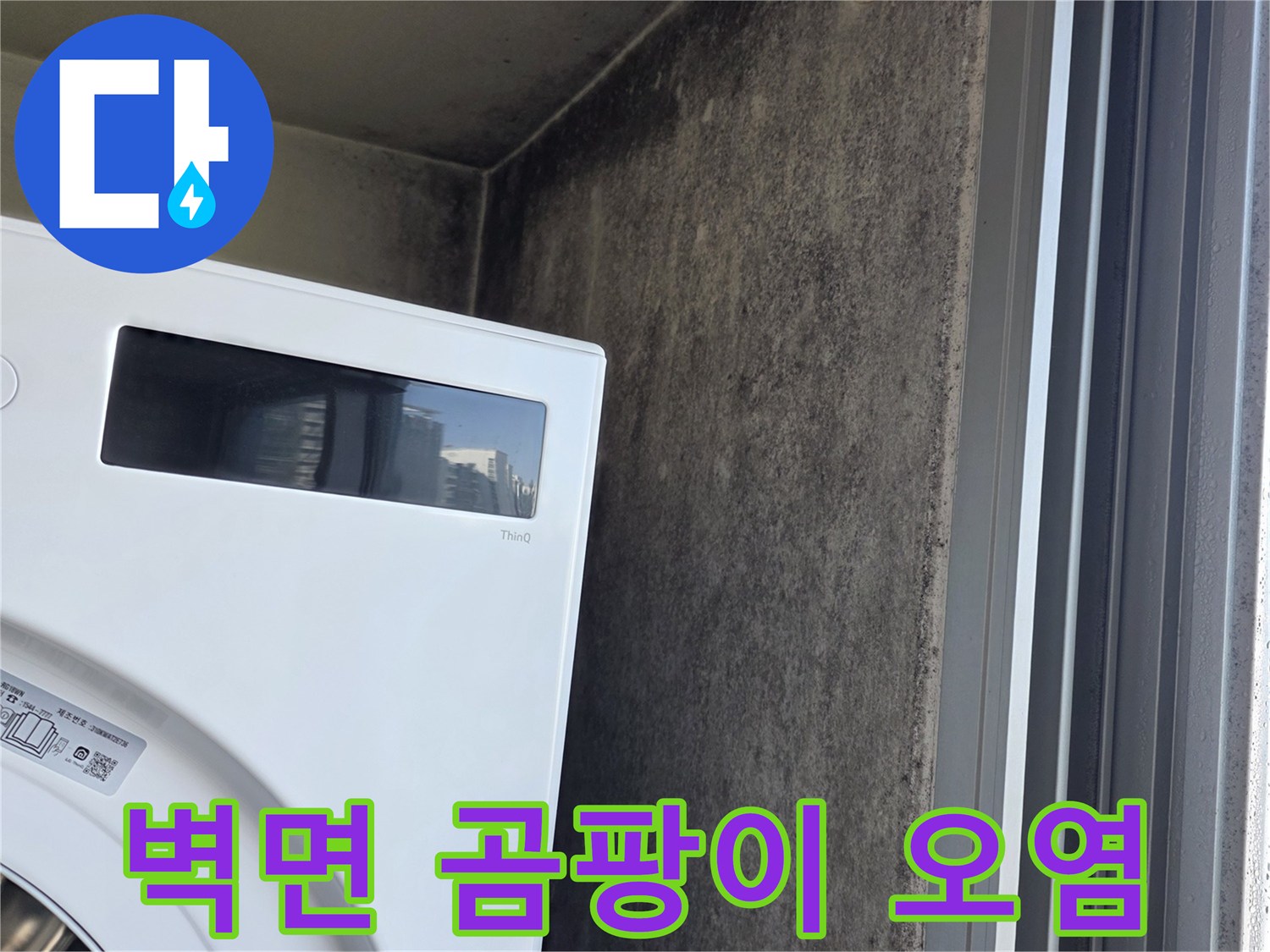 세탁실-배관-근처의-심각한-곰팡이-발생