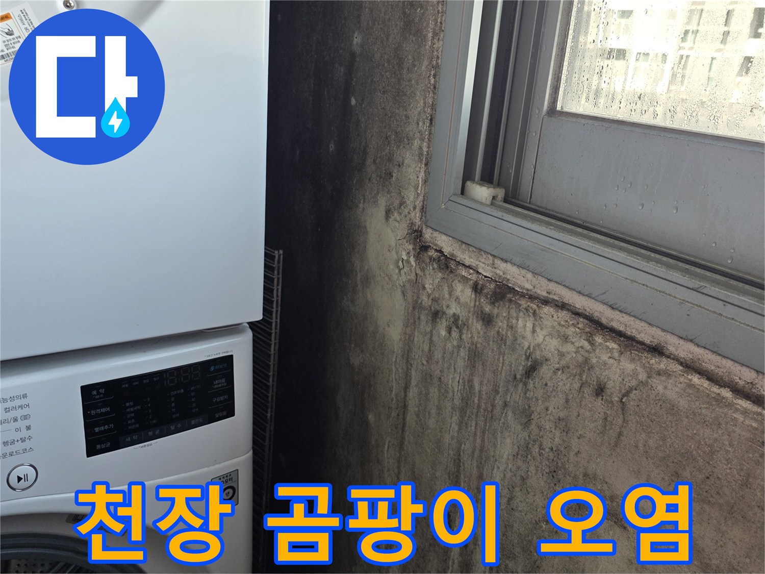 세탁실-천장의 검은 곰팡이와 얼룩진 벽면