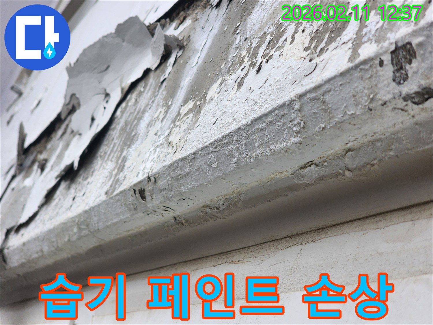 건물 외벽에-습기가 침투하여-페인트가 들뜨고-표면이 손상된 상태를 보여주는 이미지