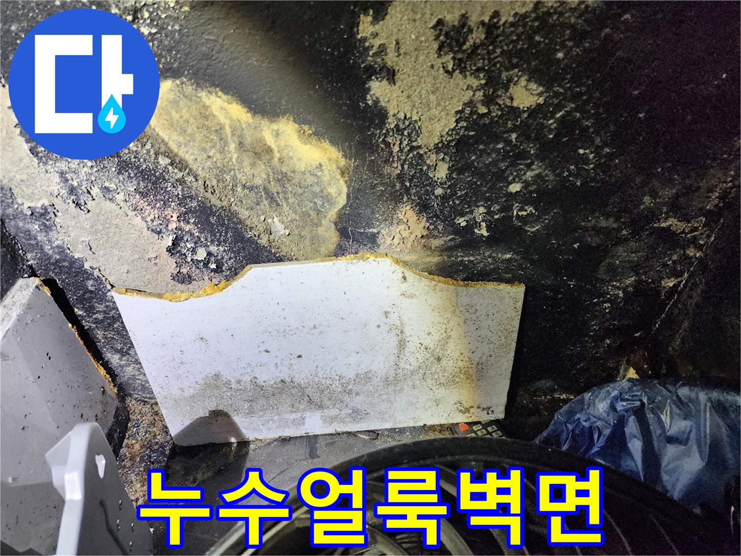 곰팡이와 습기가 가득한 배관 주변 벽면