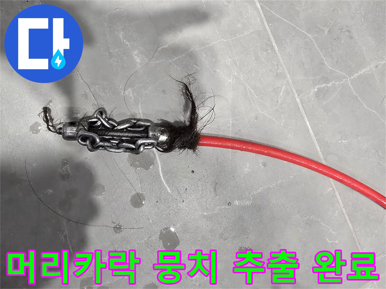 배수 호스 끝에 걸려 나온 머리카락과 오염물