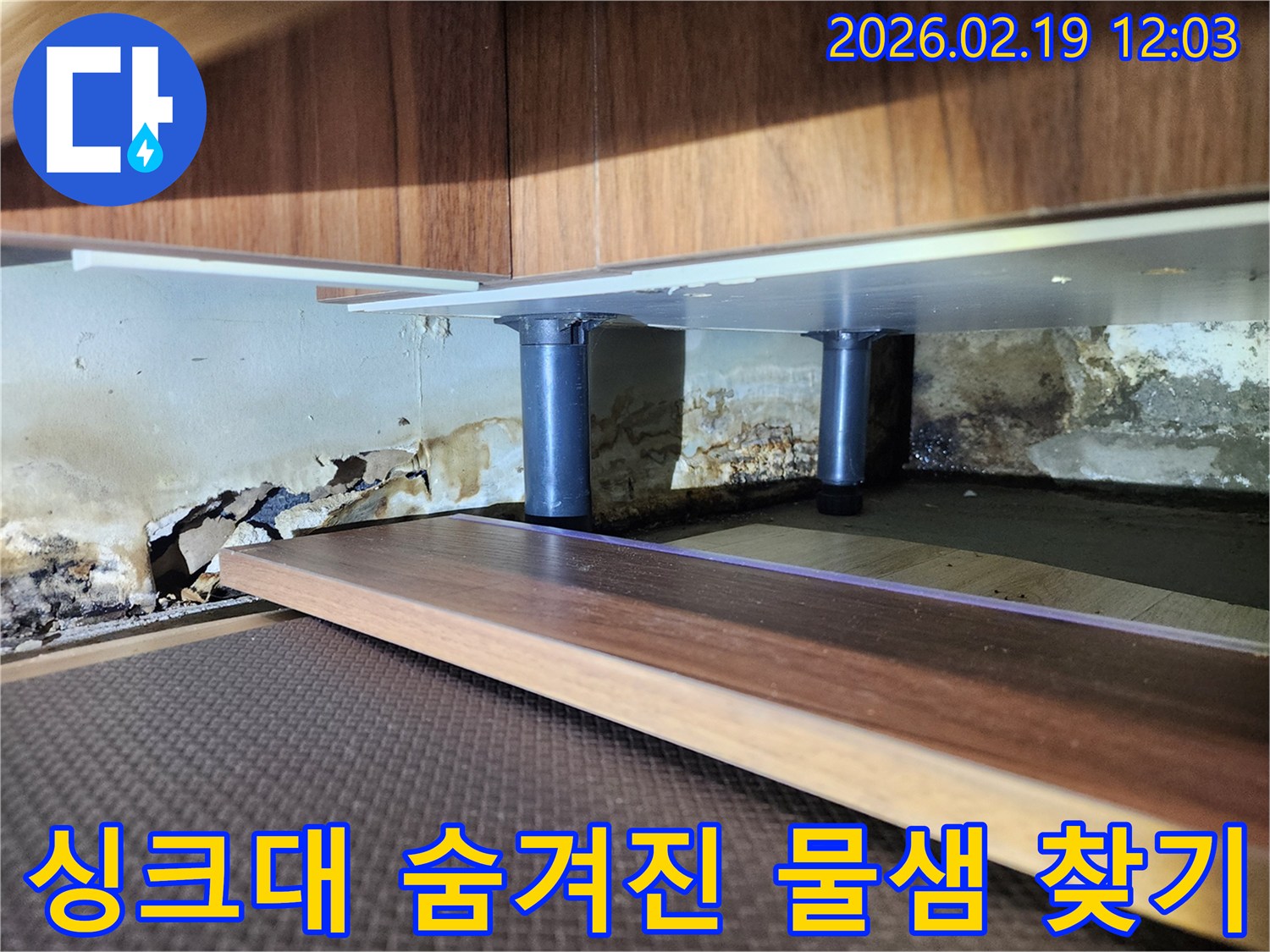 싱크대 하부 벽면의 심각한 누수 흔적-벽지 손상과 곰팡이가 광범위하게 퍼진 상태를 전문가가 진단