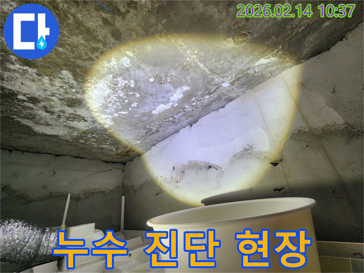 누수-진단-현장-천장-물샘-원인-분석-전문가-조사