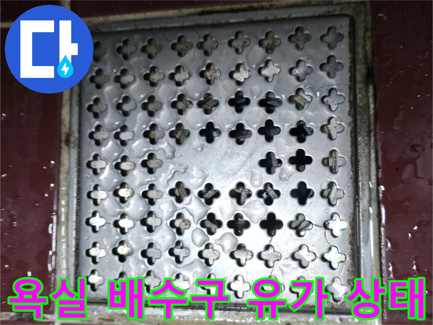 양주 백석읍 화장실 배수구 유가와 타일 주변 모습