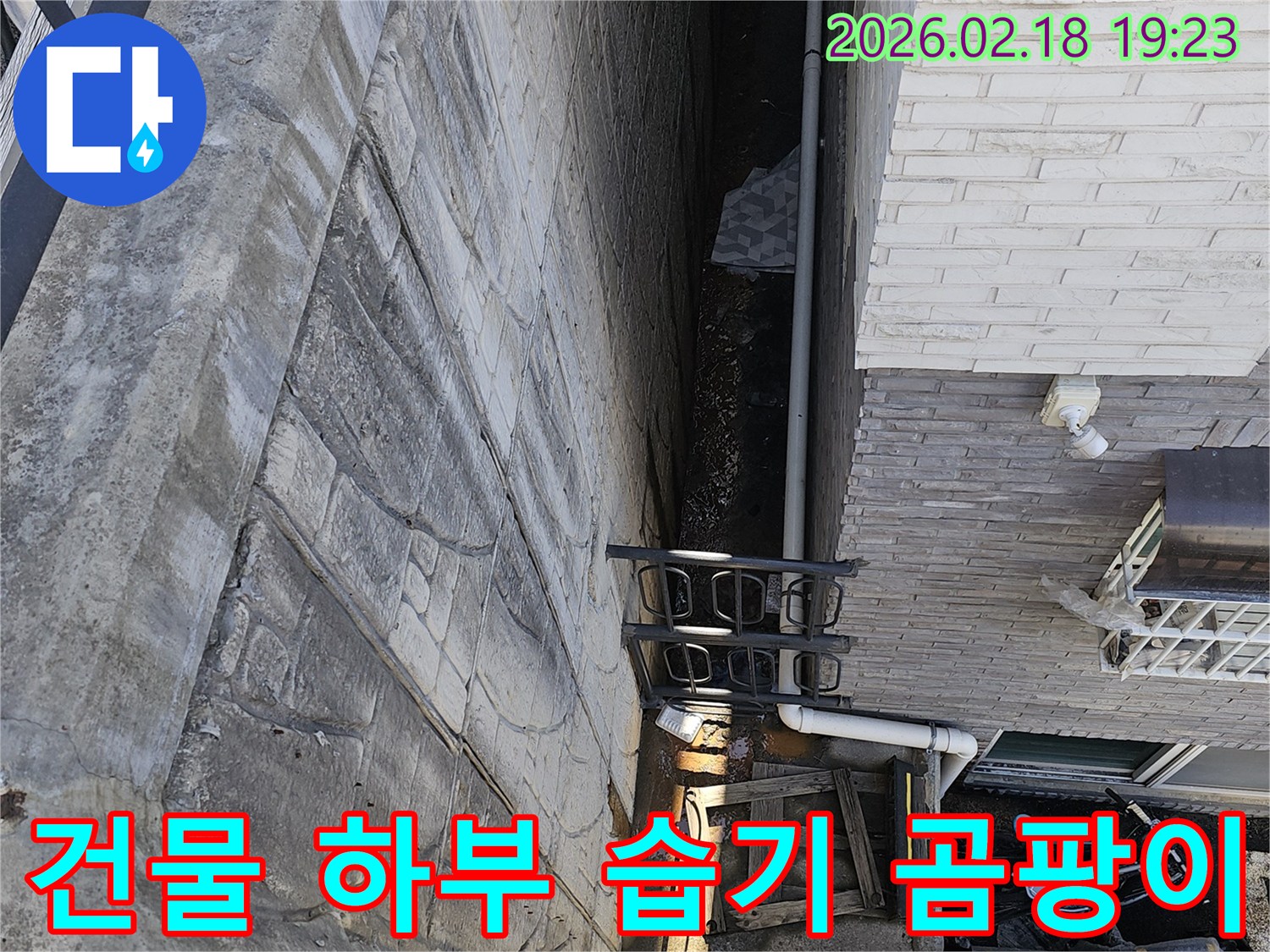 고양시 숲속마을 건물 하부에서 발생한 습기 및 곰팡이를-제거하고 방수 시공을 위해 전문가가 현장을 진단하는 모습입니다