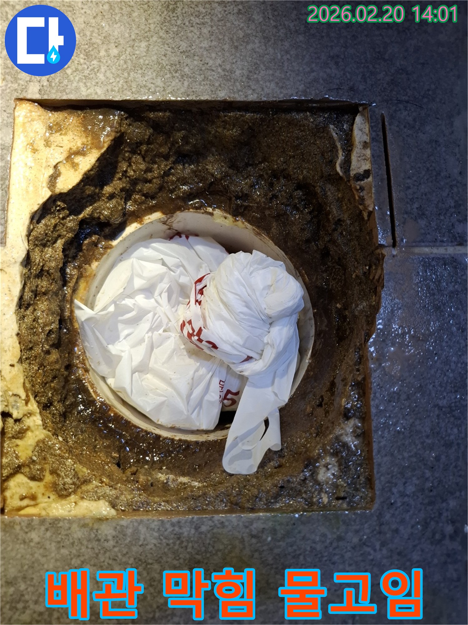 오물과 비닐로 심각하게 막힌 배관-물이 고여 역류하는 누수 발생 직전 현장