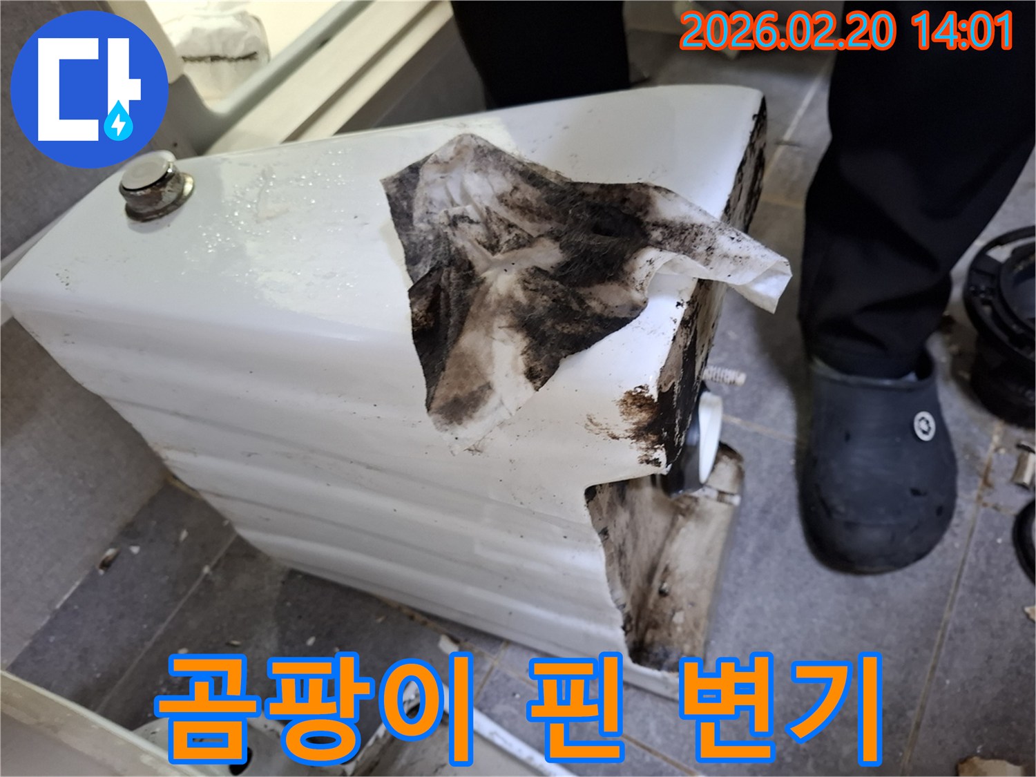 화장실 변기에서-물이 새어 나와-바닥과 변기 자체에-심각한 오염을 유발한-모습