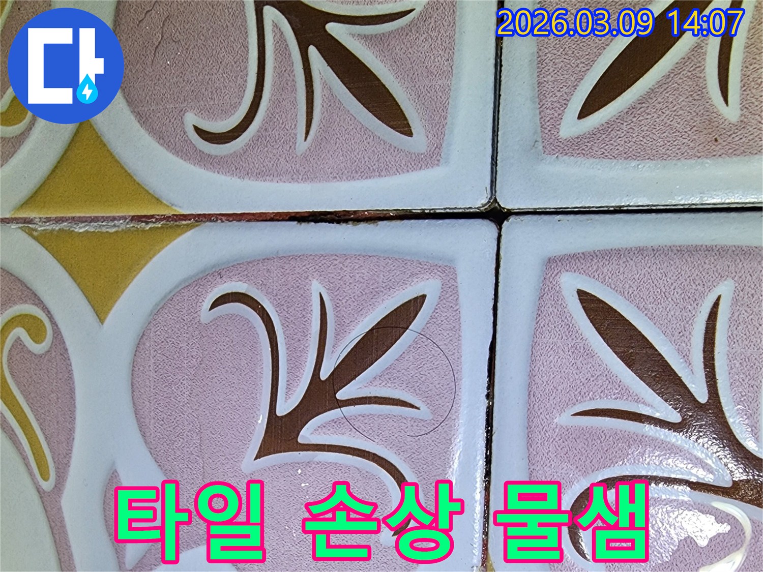 욕실 타일의 손상된 부분-물이 스며들어 누수를 유발할 수 있으며 재발 방지 공사가 필요