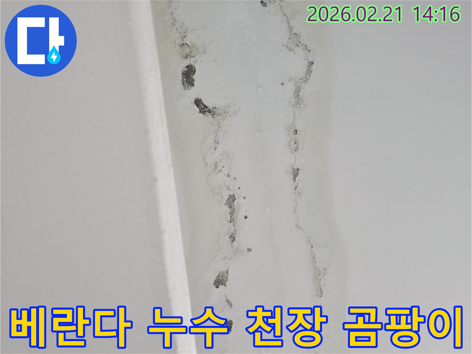 천장-누수로-인해-벽면에-발생한-심각한-곰팡이와-물자국을-보여주는-사진