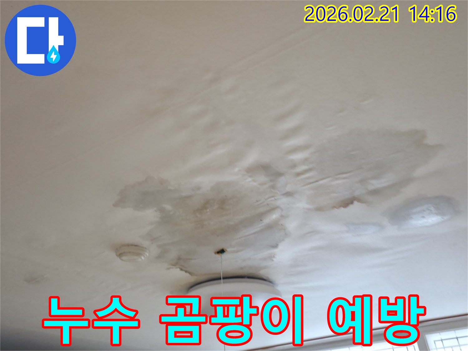 천장에-발생한-누수-얼룩과-습기로-인한-변색을-보여주며-곰팡이-발생-위험을-시사하는-사진
