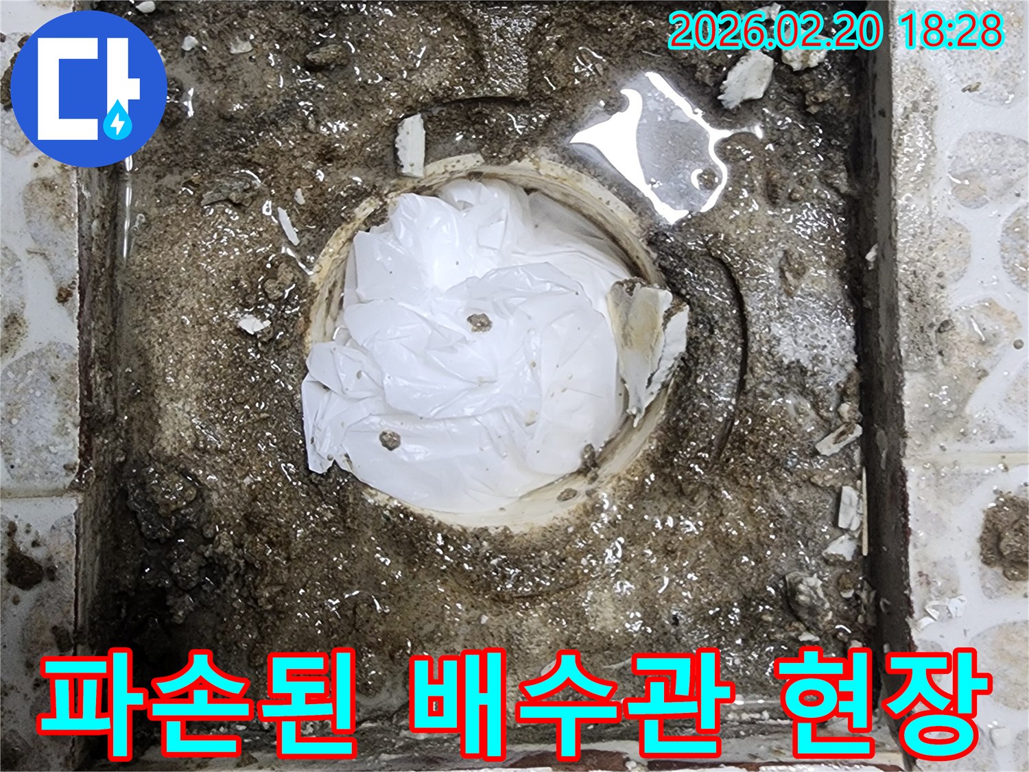 화장실 배수관이 파손되어-주변이 심하게 오염되고-물이 고여있는-긴급 누수 현장입니다.