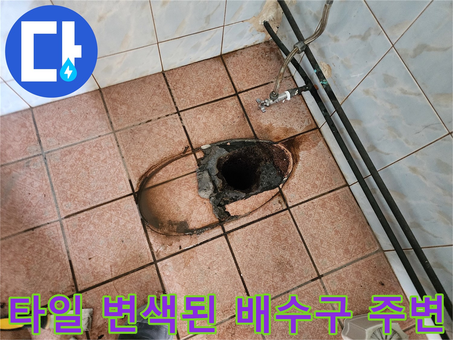양주 상가 화장실-배수구 근처 타일이 젖어 있고 오염된 모습